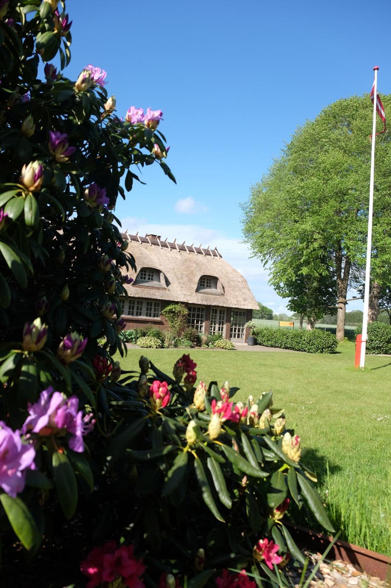 Billund Rooms Екстер'єр фото