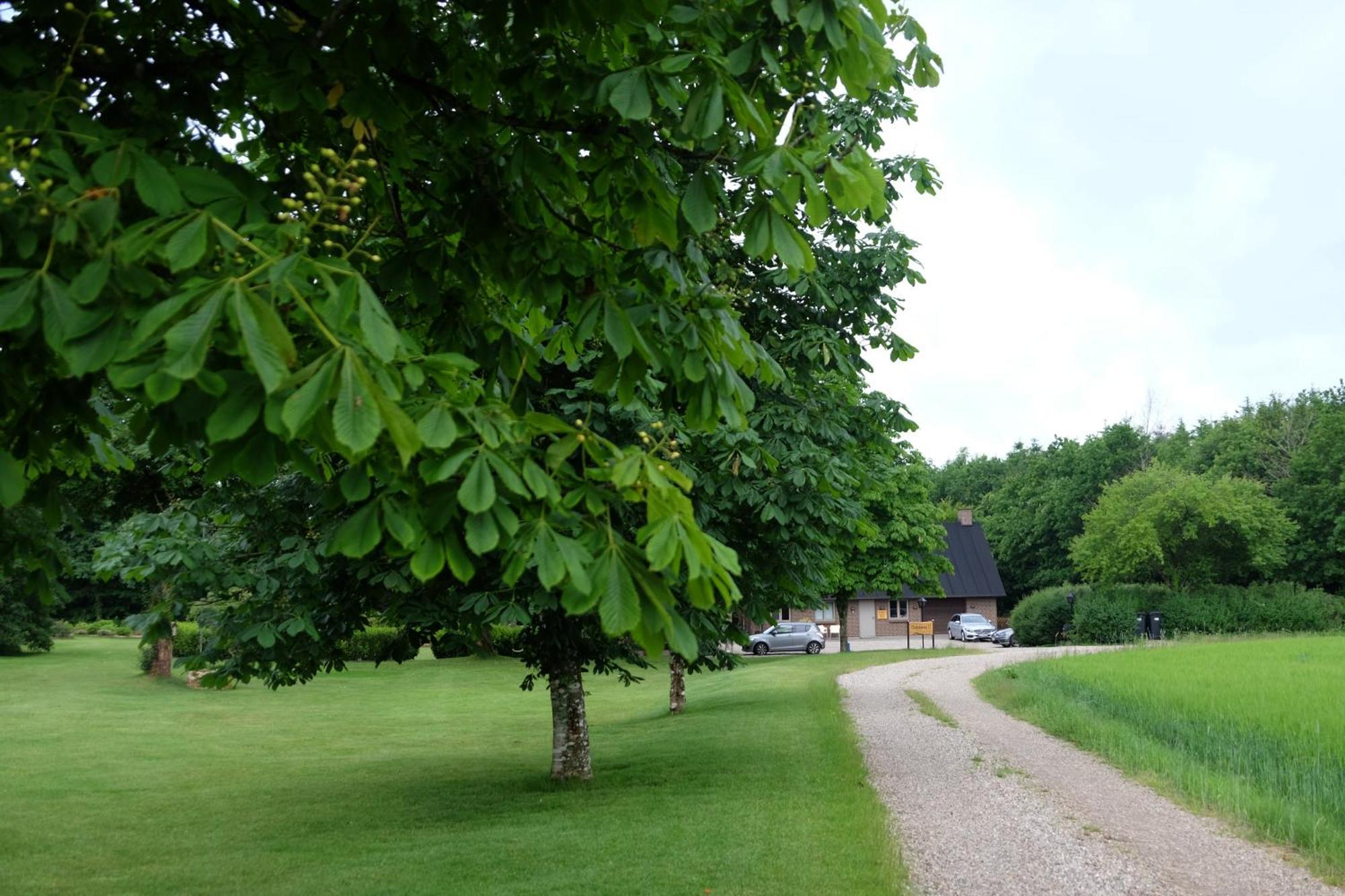 Billund Rooms Екстер'єр фото